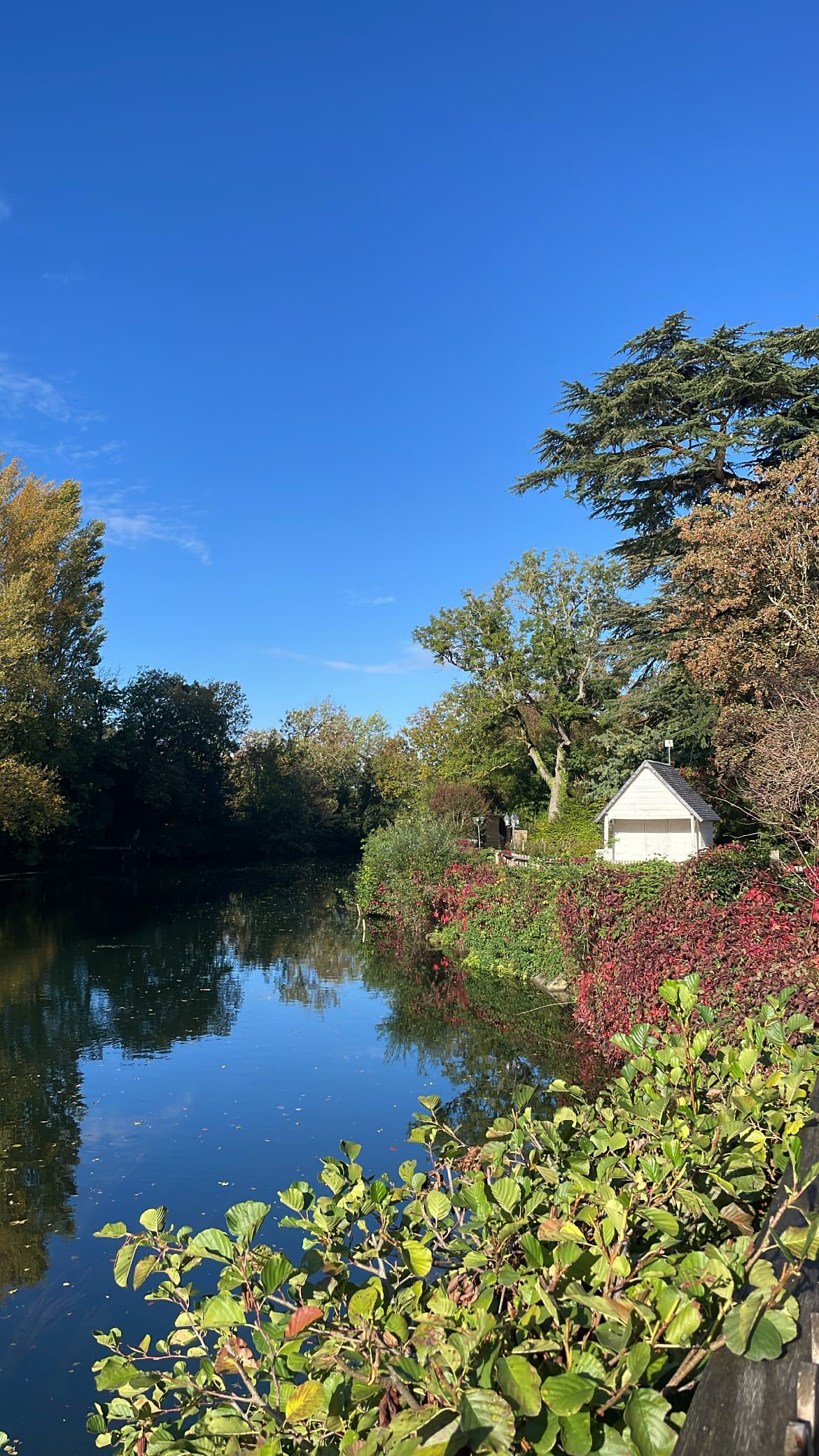 le loir