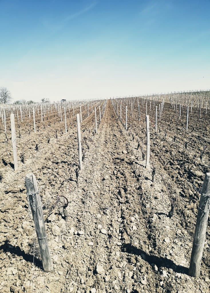 Domaine Jean-Paul Picard & Fils
