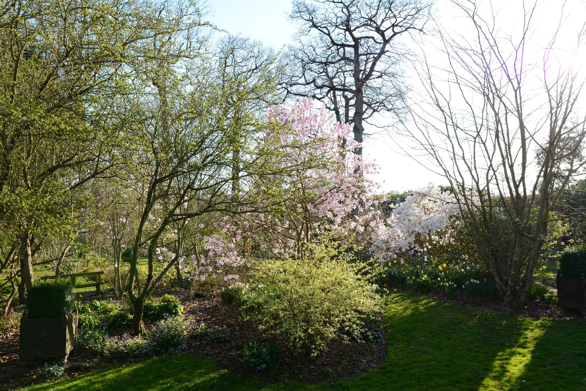 Jardin de la Duchaylatière