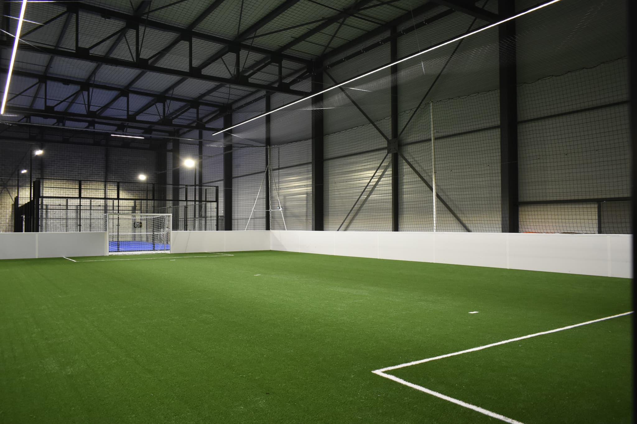 Terrain-ball-in-dor