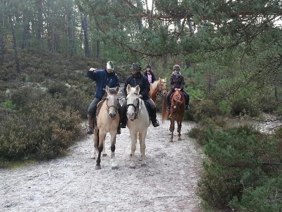 foret fontainebleau