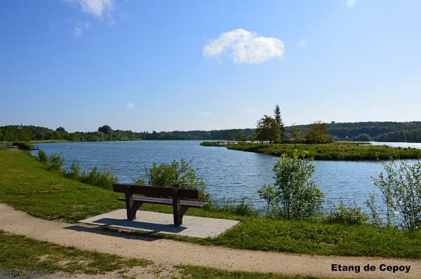 Etang de Cepoy