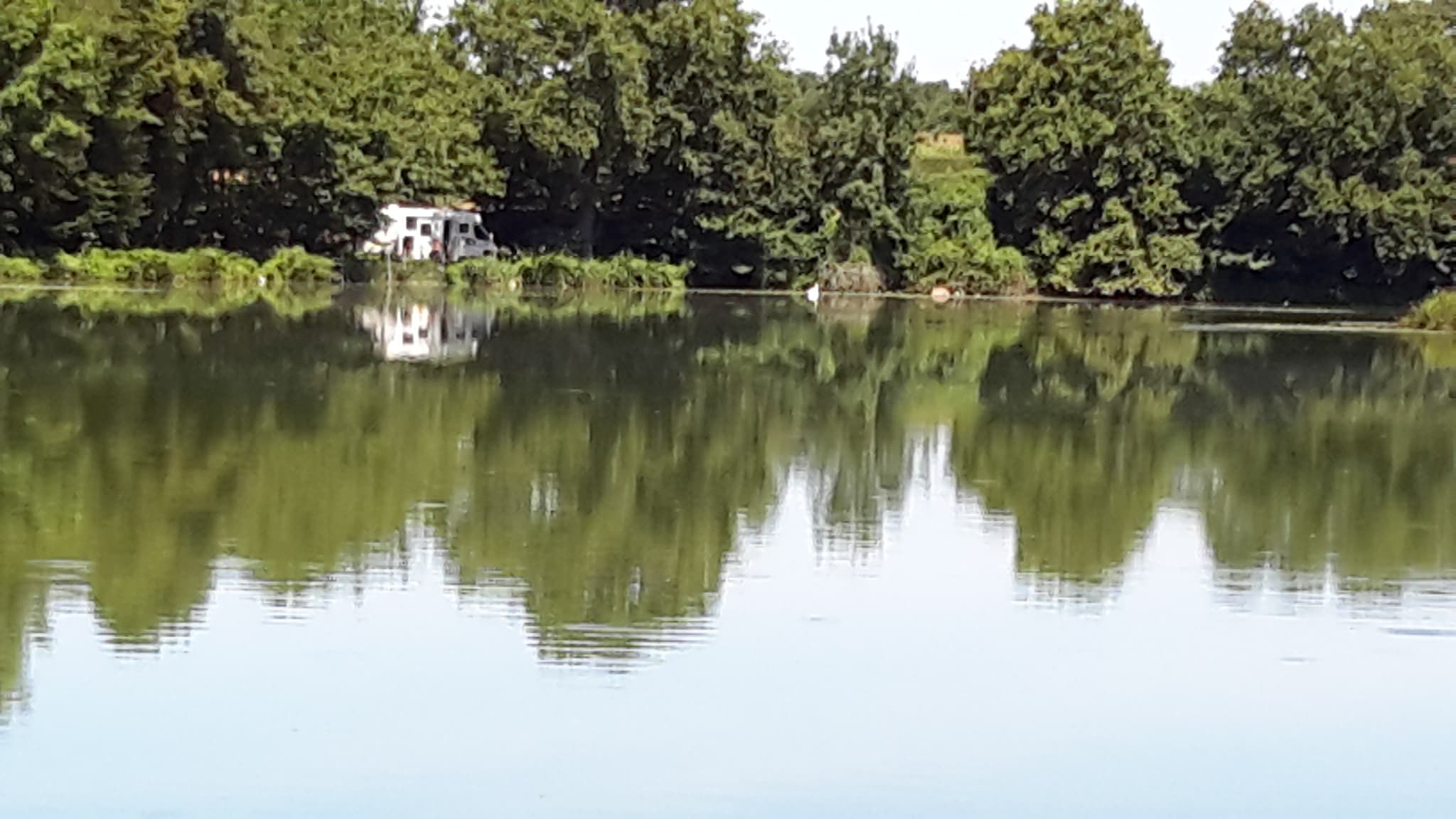 Bonny sur Loire - Gite du moulin - L'étang