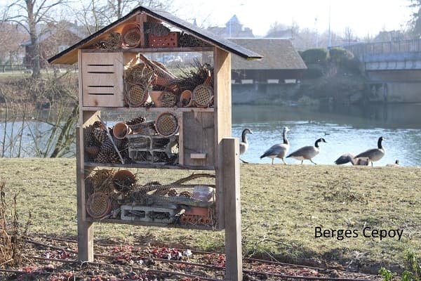 Berges de Cepoy