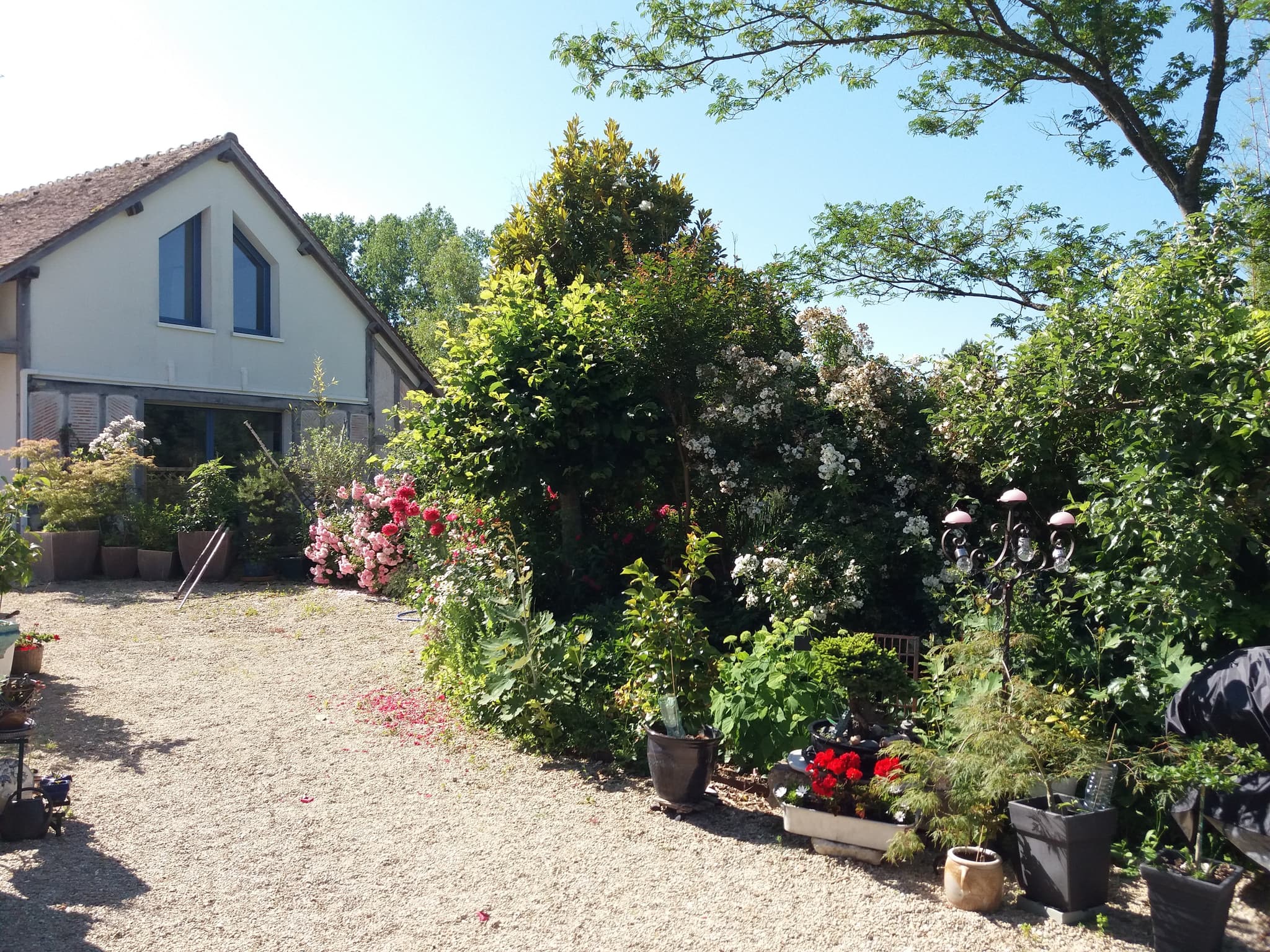 jardin