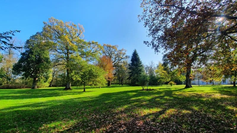 Domaine de Chaillauroy