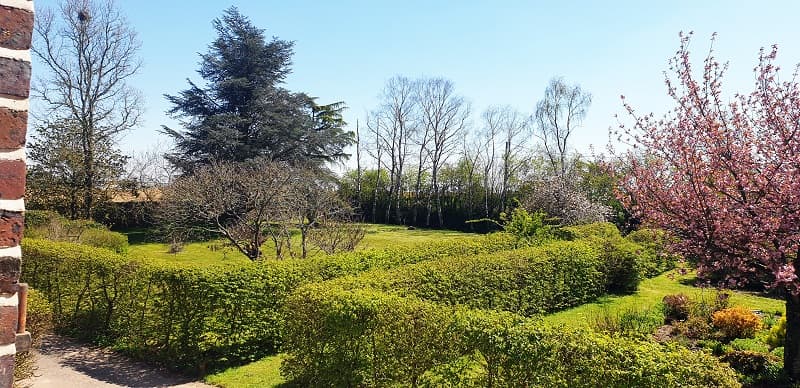 De l'étage, vue sur le parc et jardin des fleurs