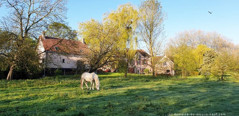 "La Bergerie" et vue sur nos prairies