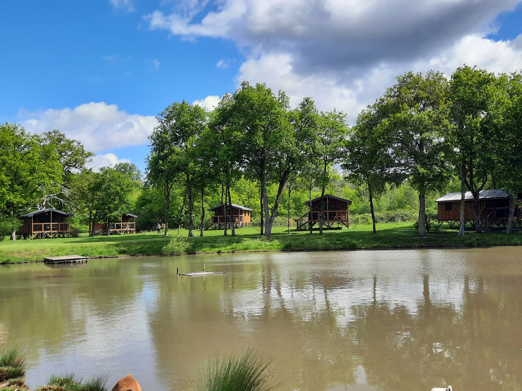 lodges etang