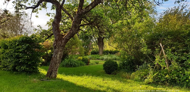 Le parc et jardin des fleurs