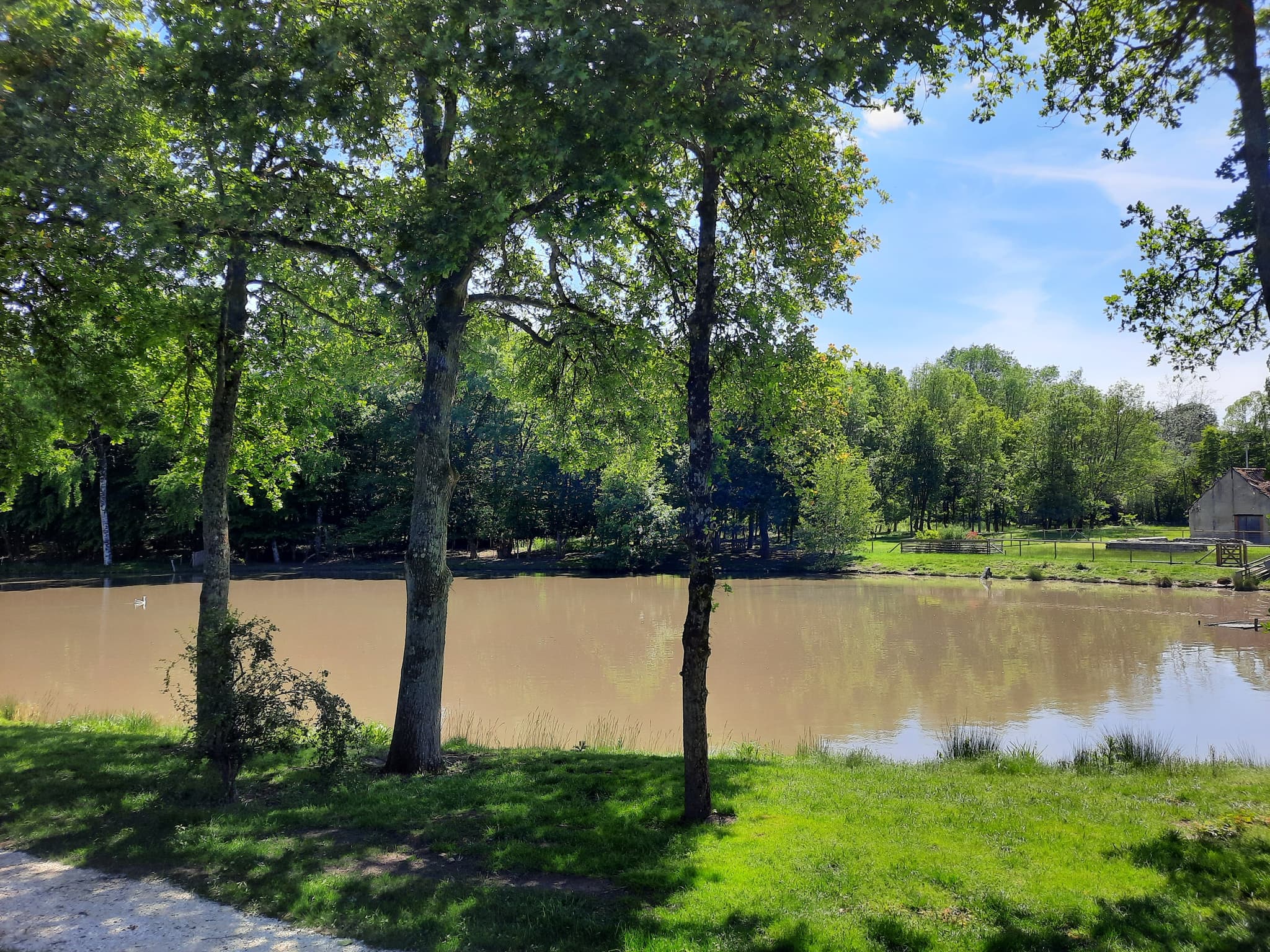 ETANG