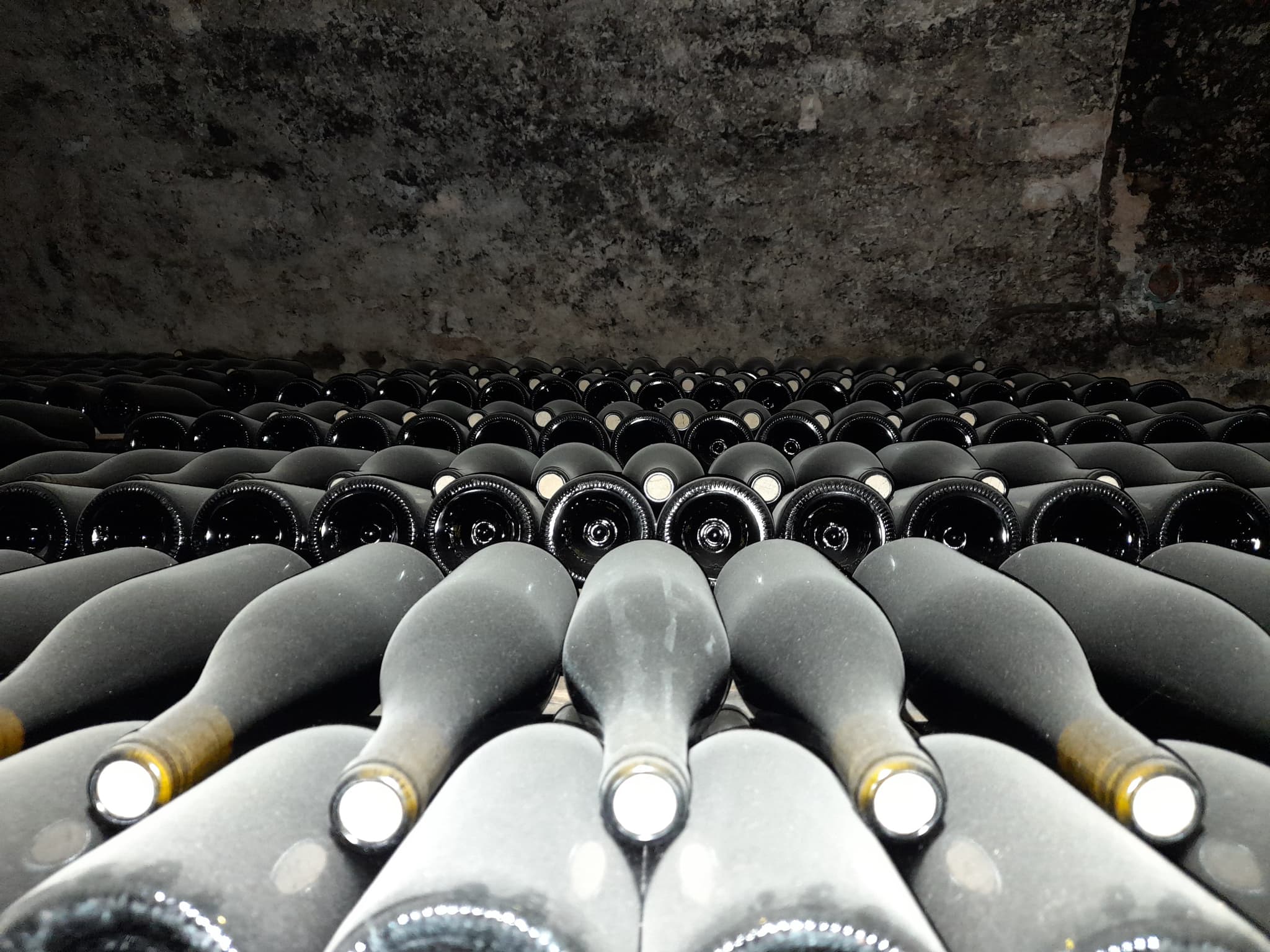 Domaine du Grand Moulin Seneau et Fils
