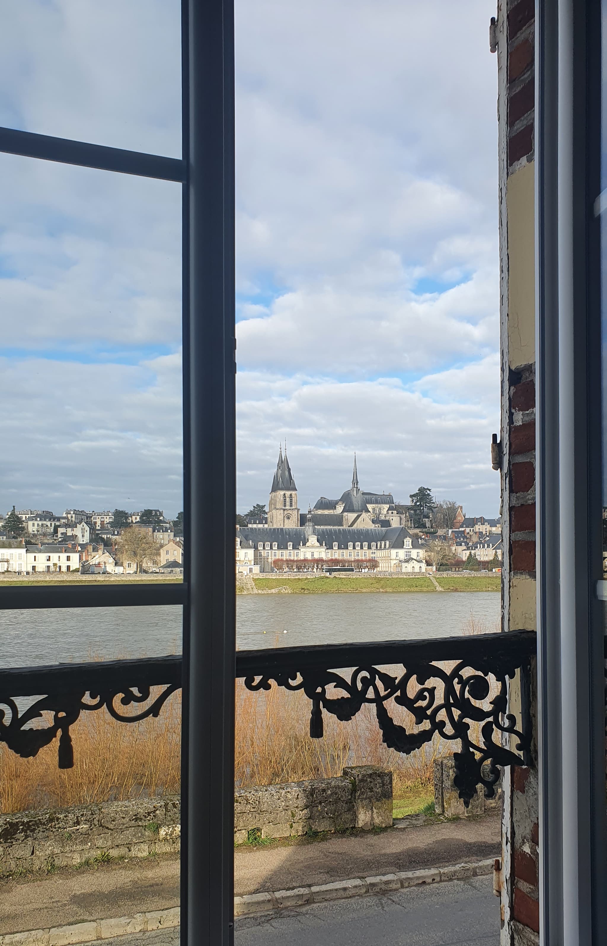Vue sur la Loire et le Château Royal