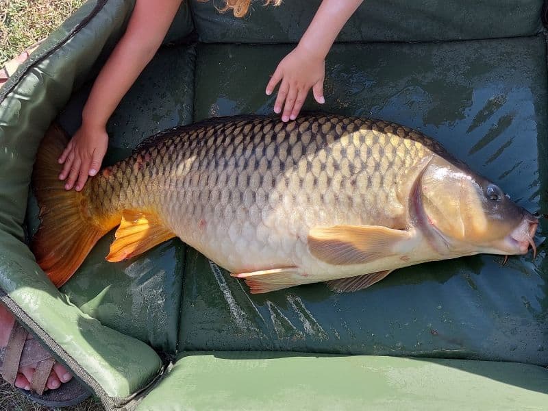 Pêche au Domaine Coeur de Brenne