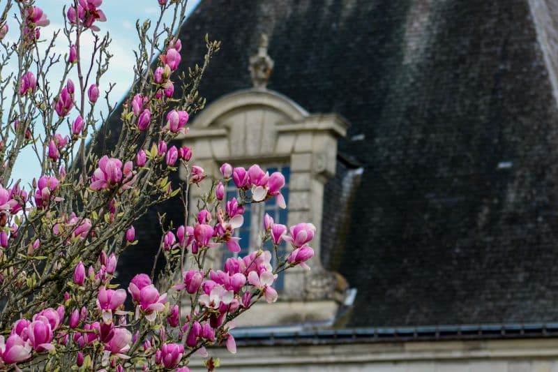 Château d'Azay-Le-Ferron