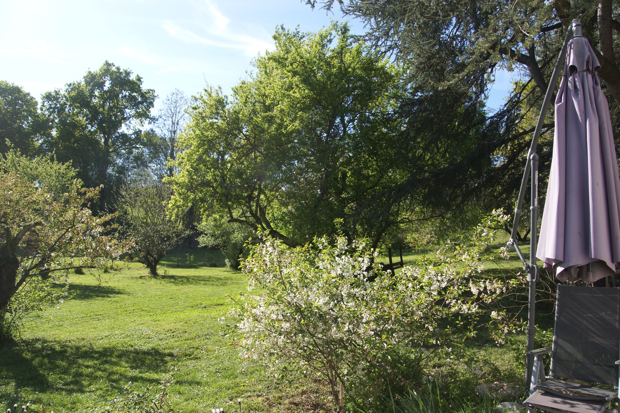 2024-04-12 Vue Jardin