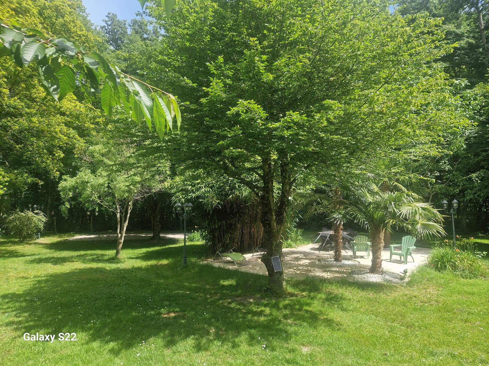Le jardin