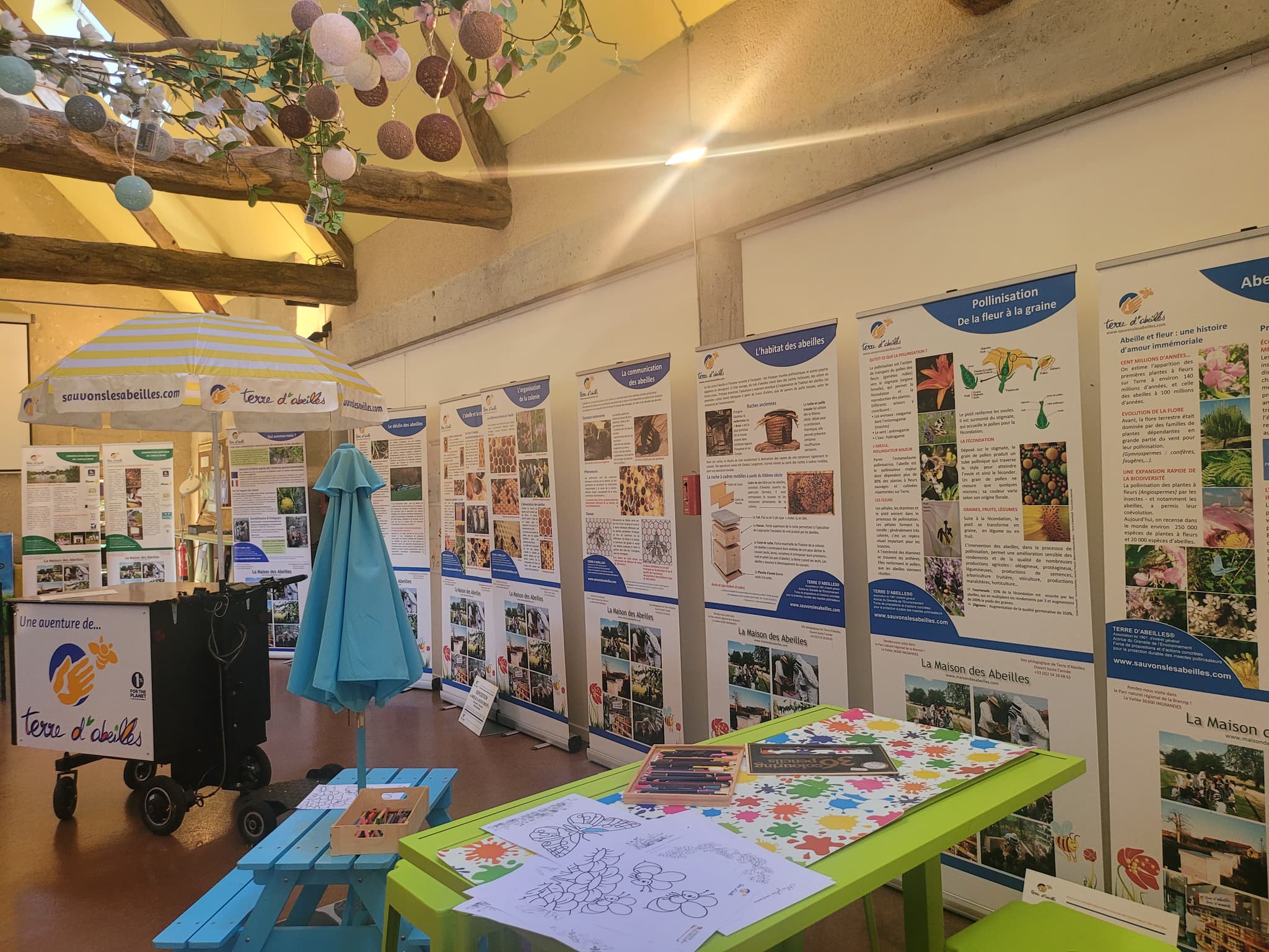 Expo permanente