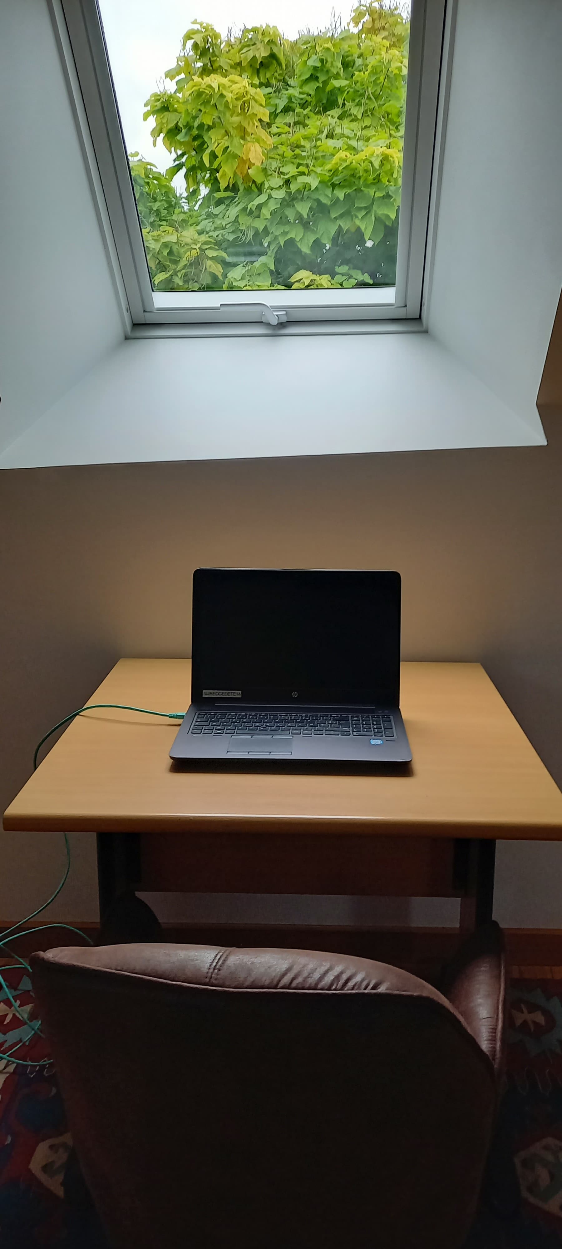 coin bureau