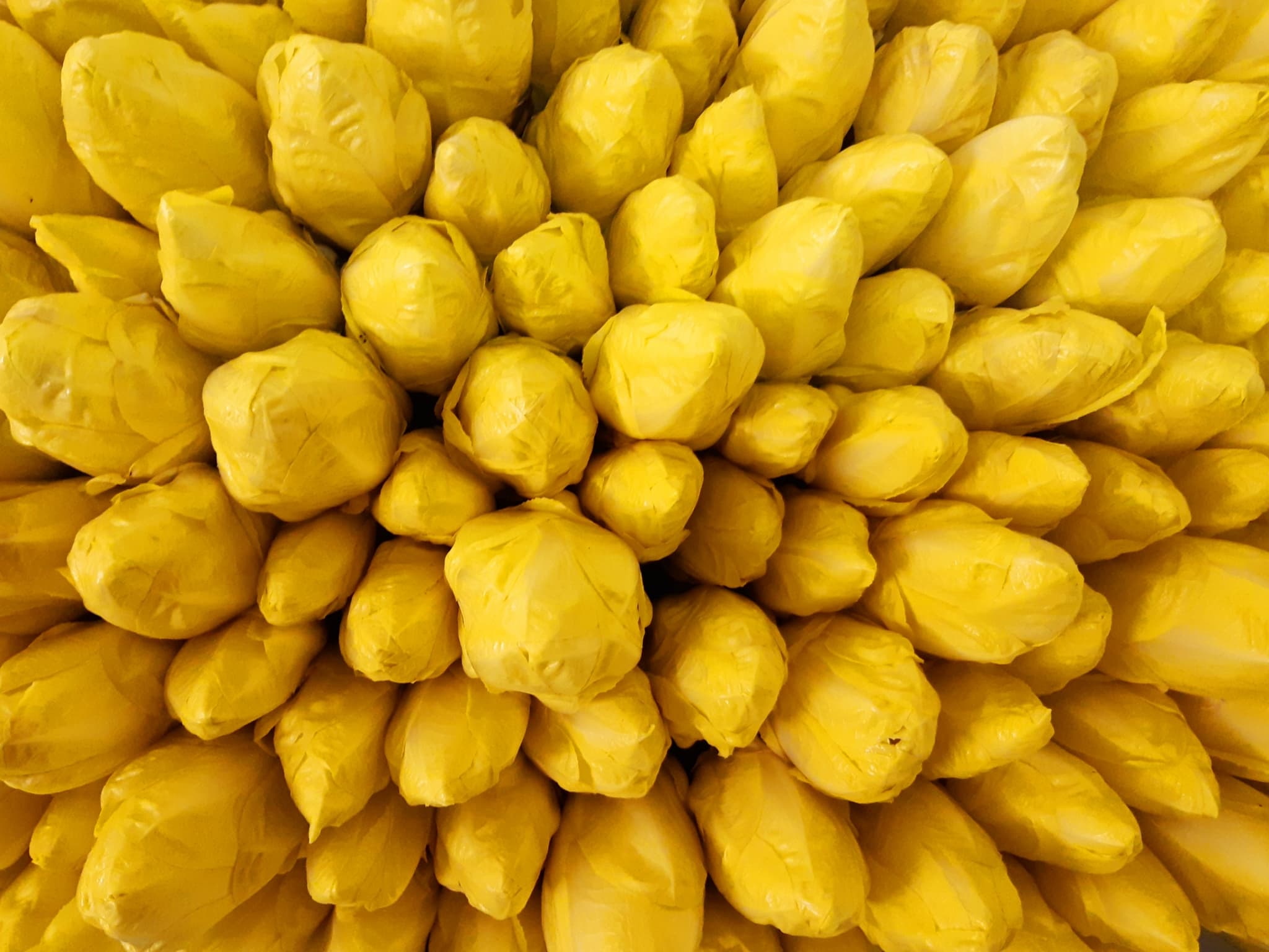 Endives
