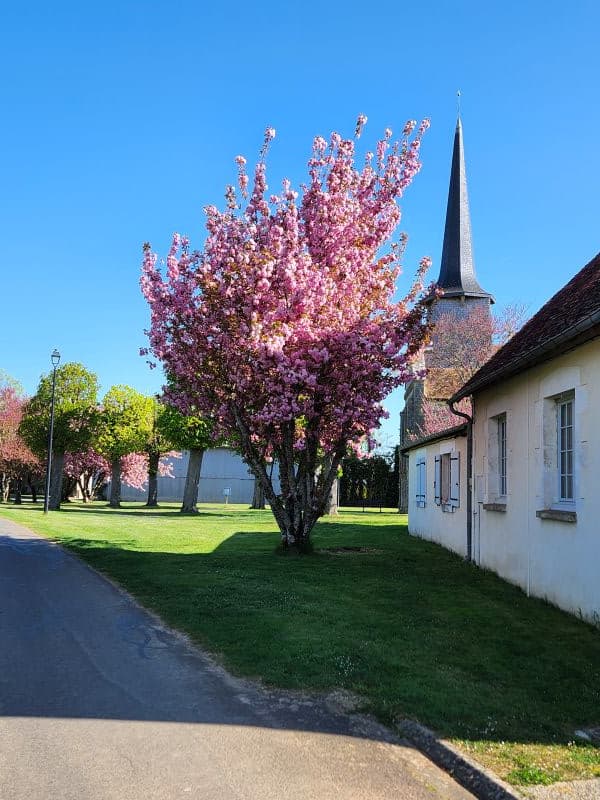 Eglise St Martin deChouday