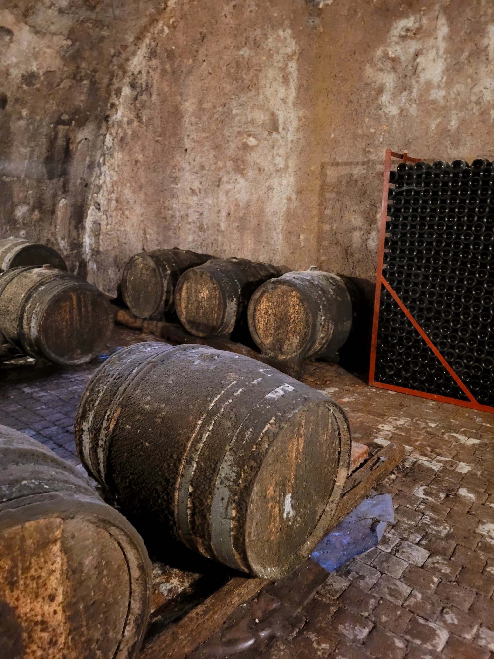 Fut de l'estang