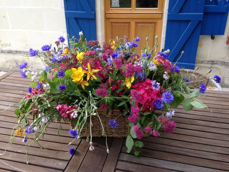 21 Les fleurs du jardin 092019