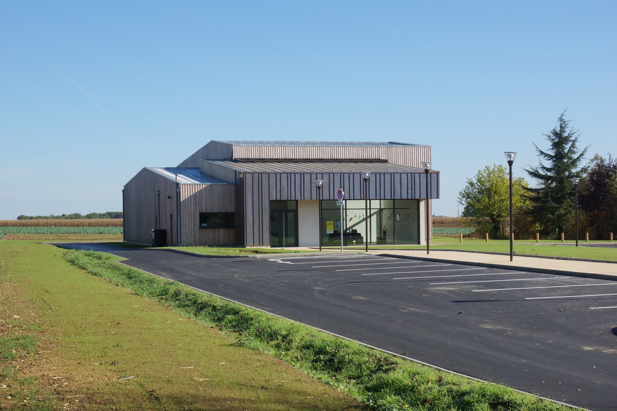 23