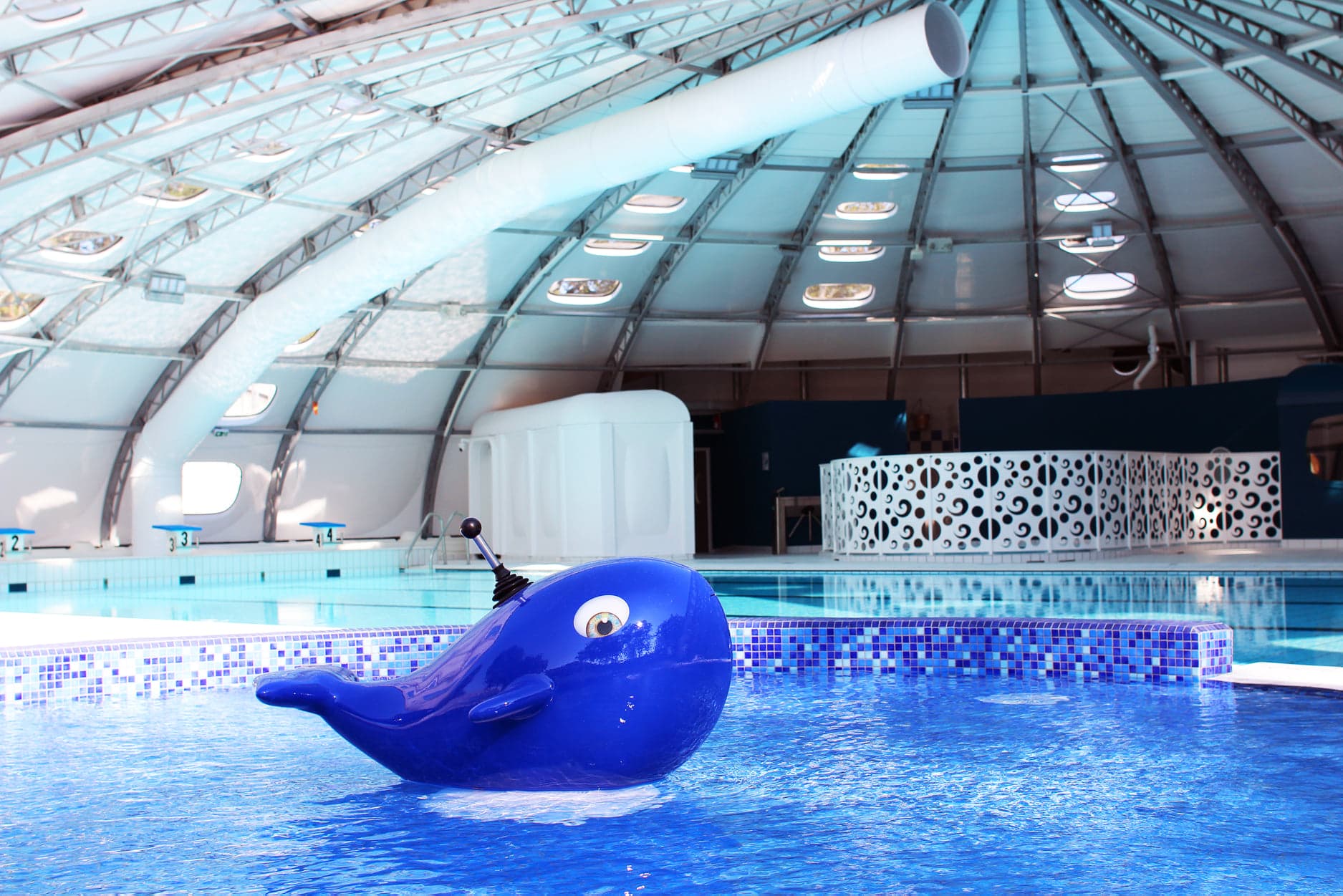 Aqua Bazelle