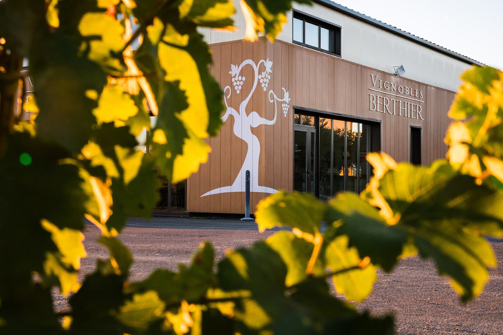 Vignobles Berthier