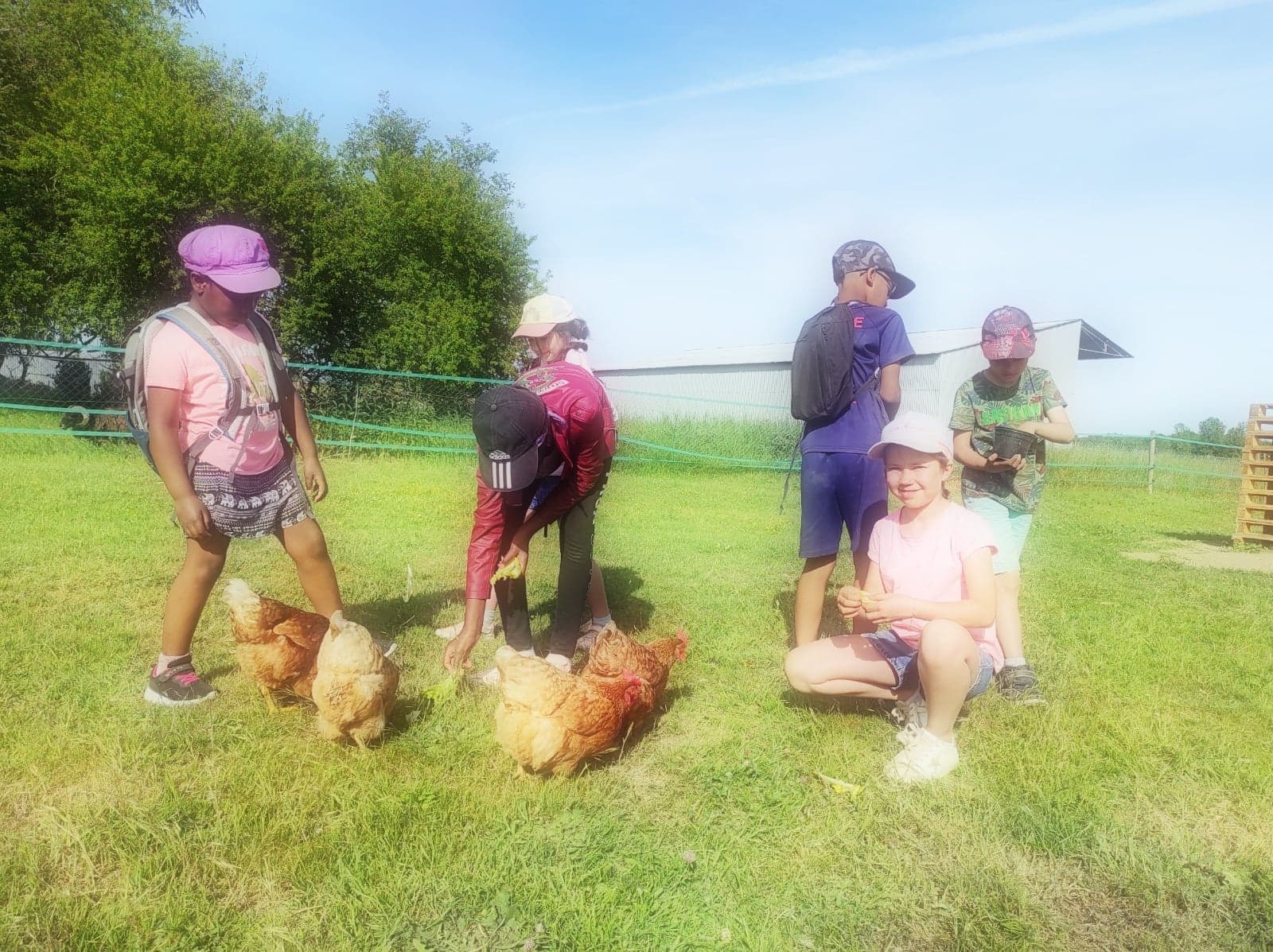 Atelier petit fermier