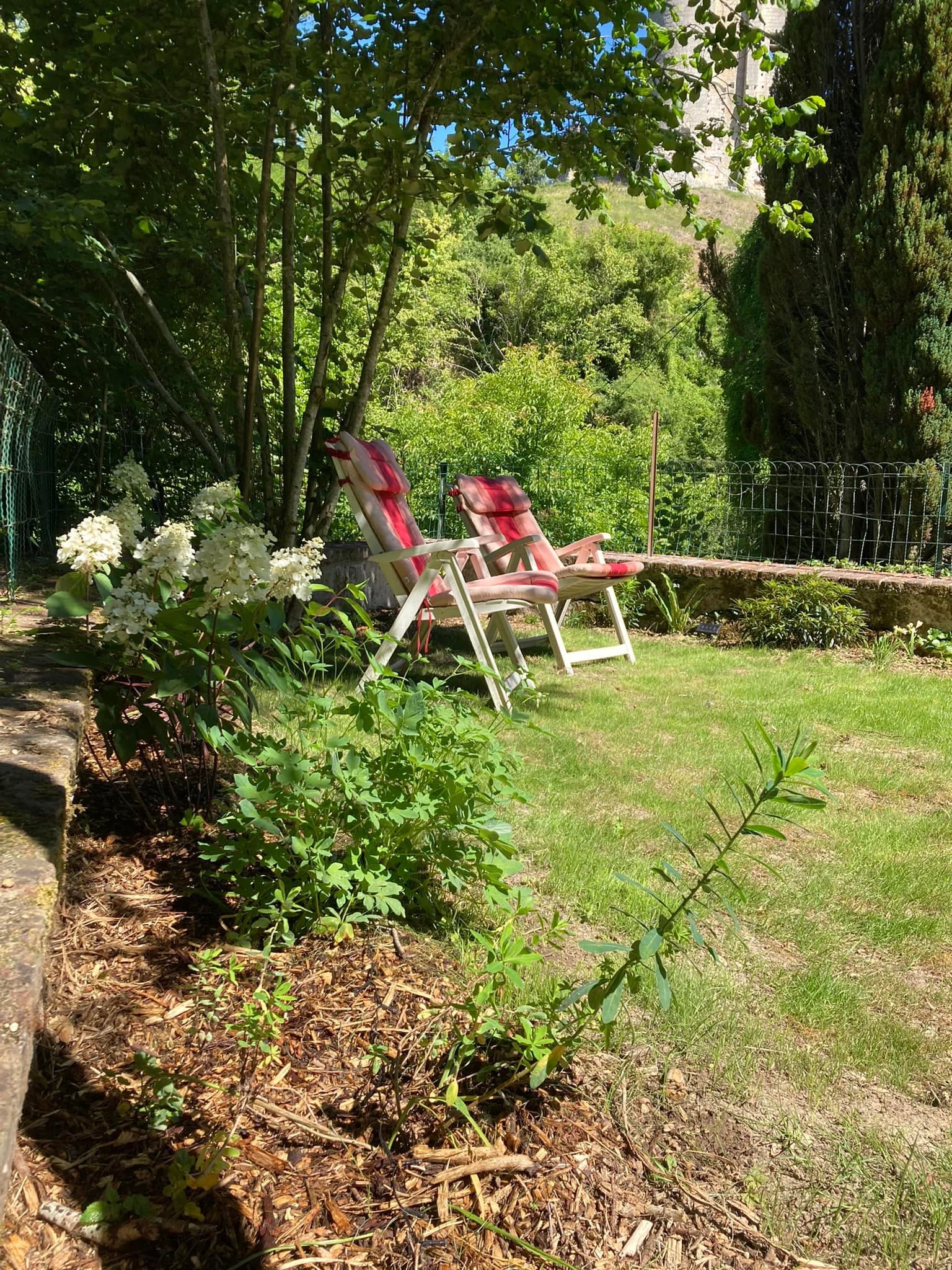 Le jardin