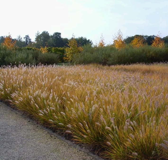 2945_PhotoJardin