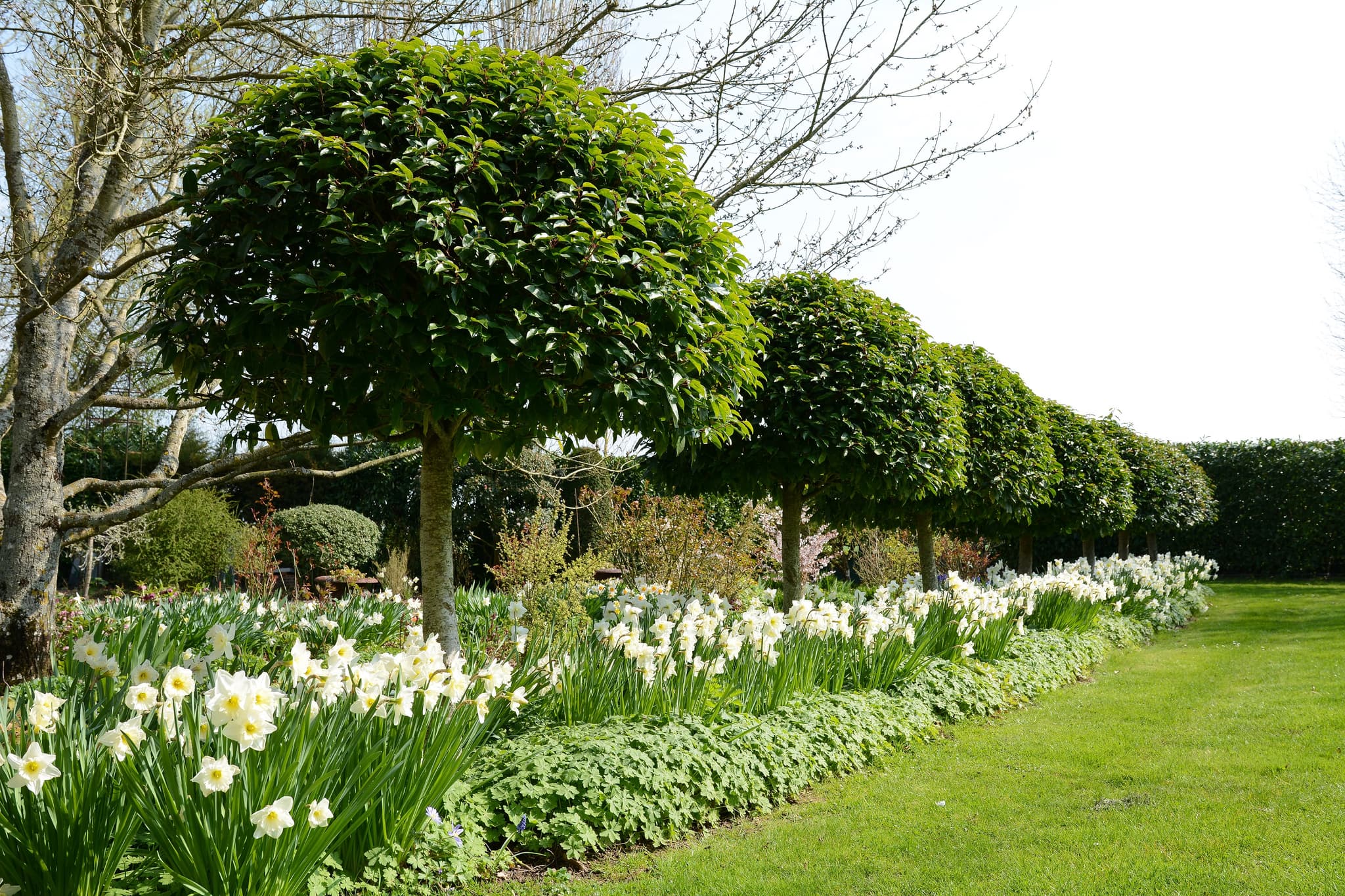 Jardin de la Duchaylatière