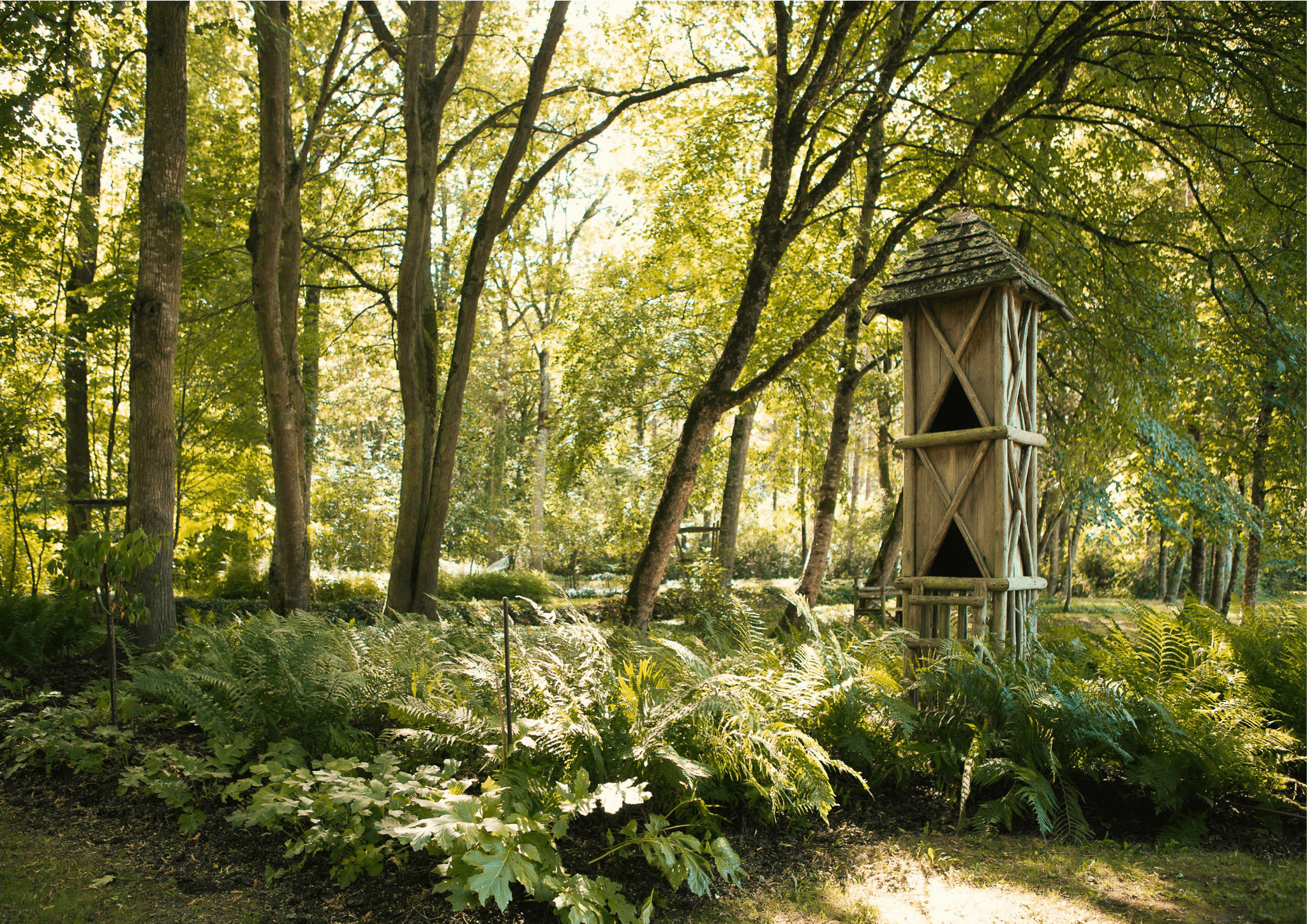 Arboretum