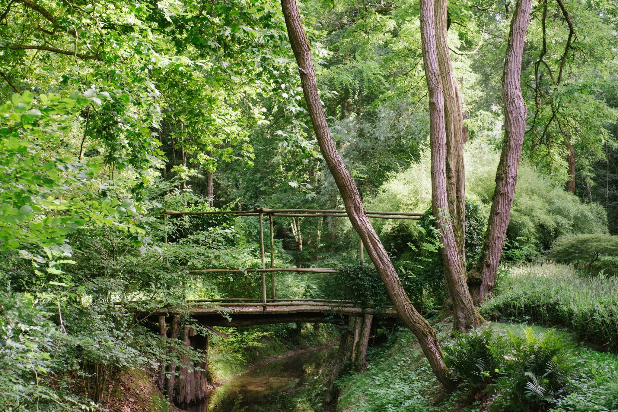 Rivière