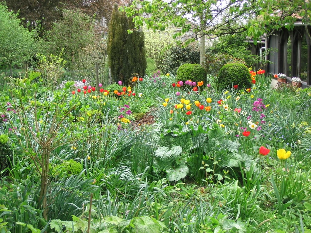 Jardin paysagé - Ferme auberge de la Lionnière