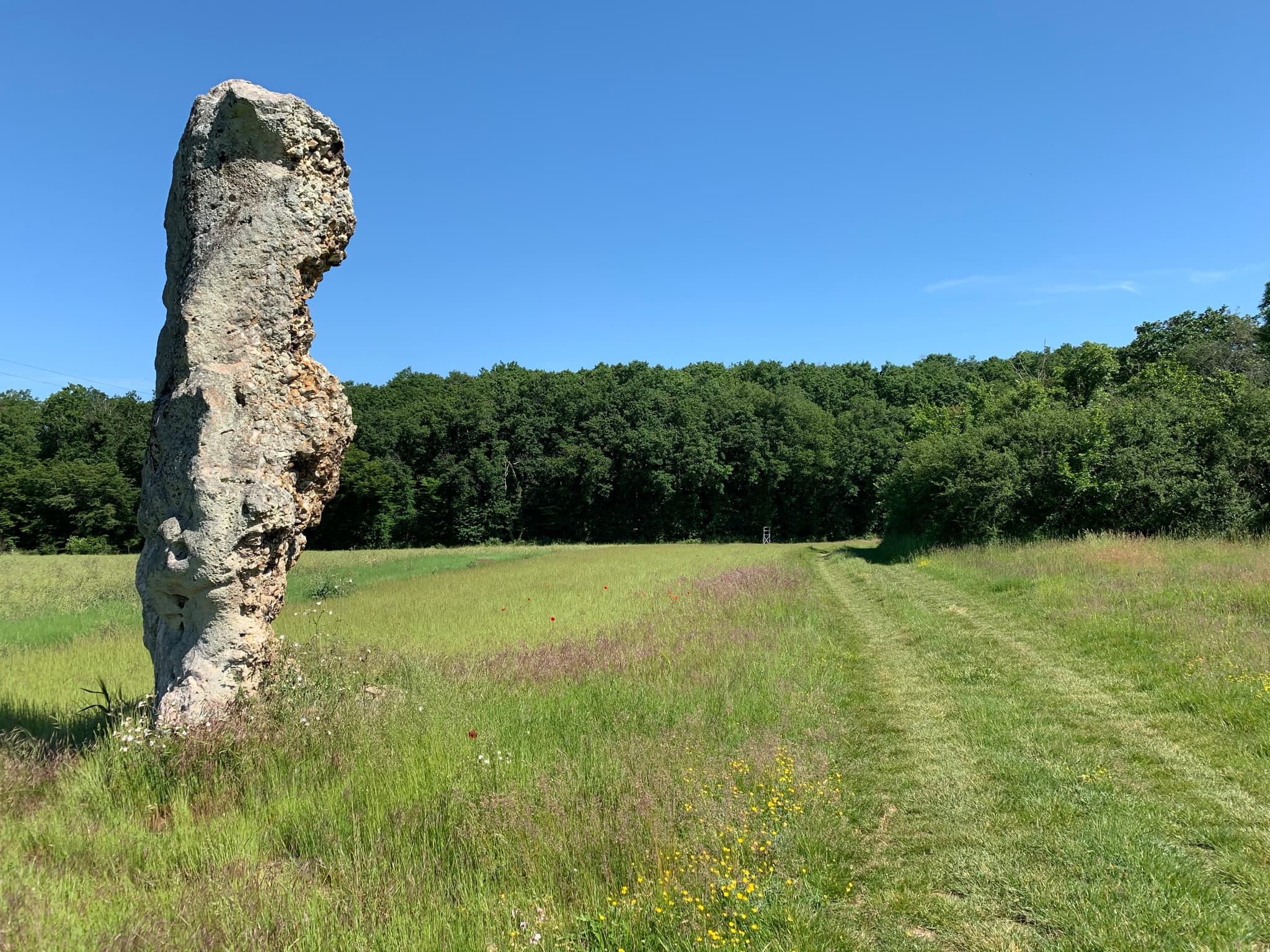 3CBO - Menhir de la Chaise - Louzouer (4)