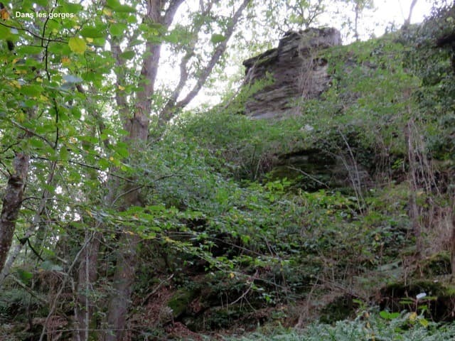 4 - Gorges Moulin