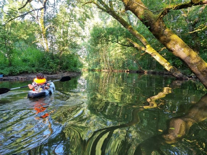Kayak au moulin de Vilaine