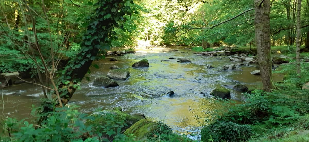 Meublé Saint-Plantaire - Saint-Jallet