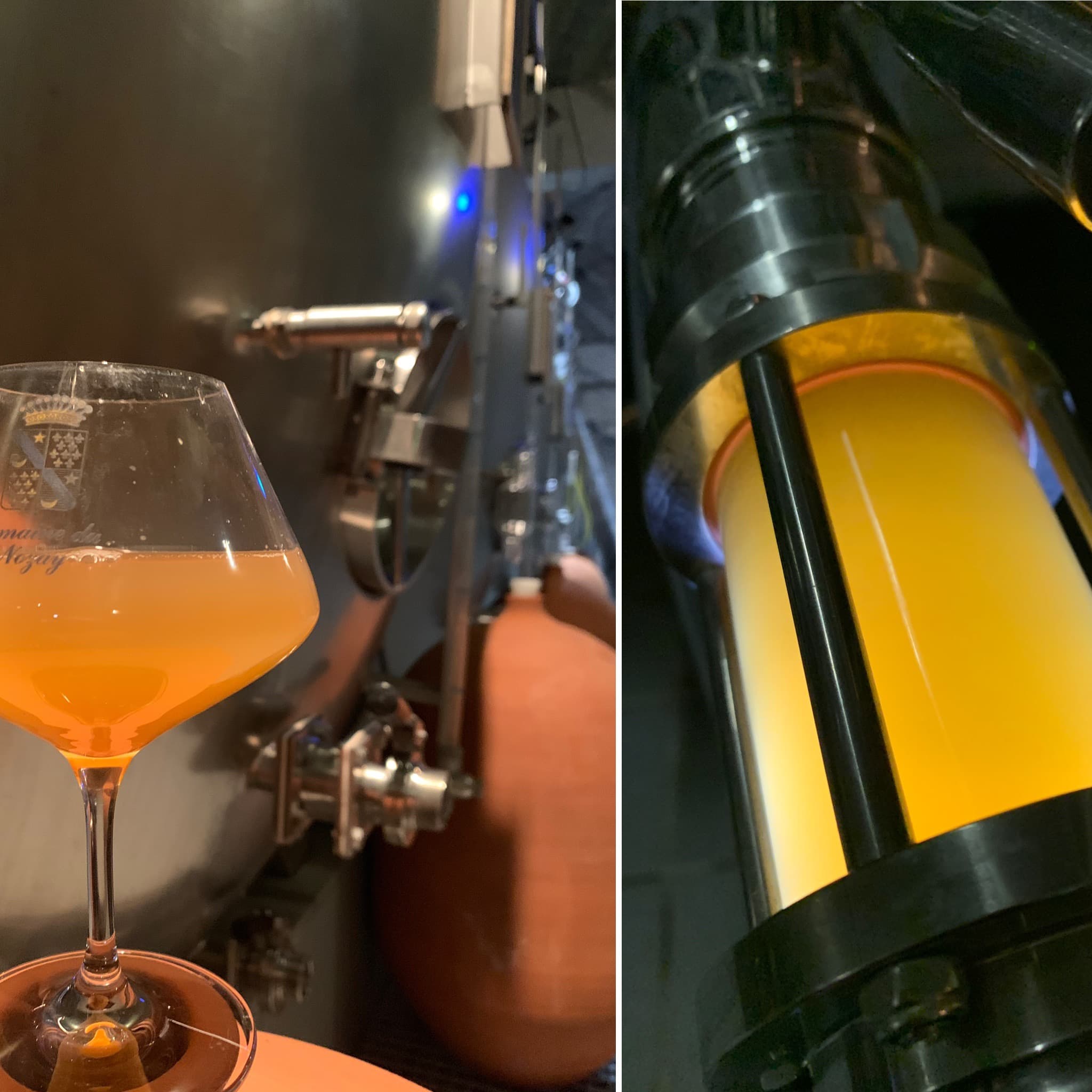 Vinification Nozay