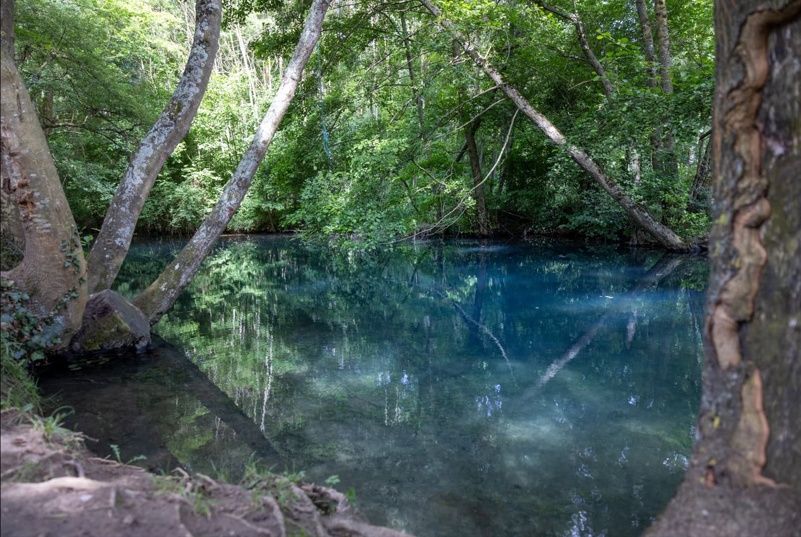 Les Eaux Bleues à Tavers