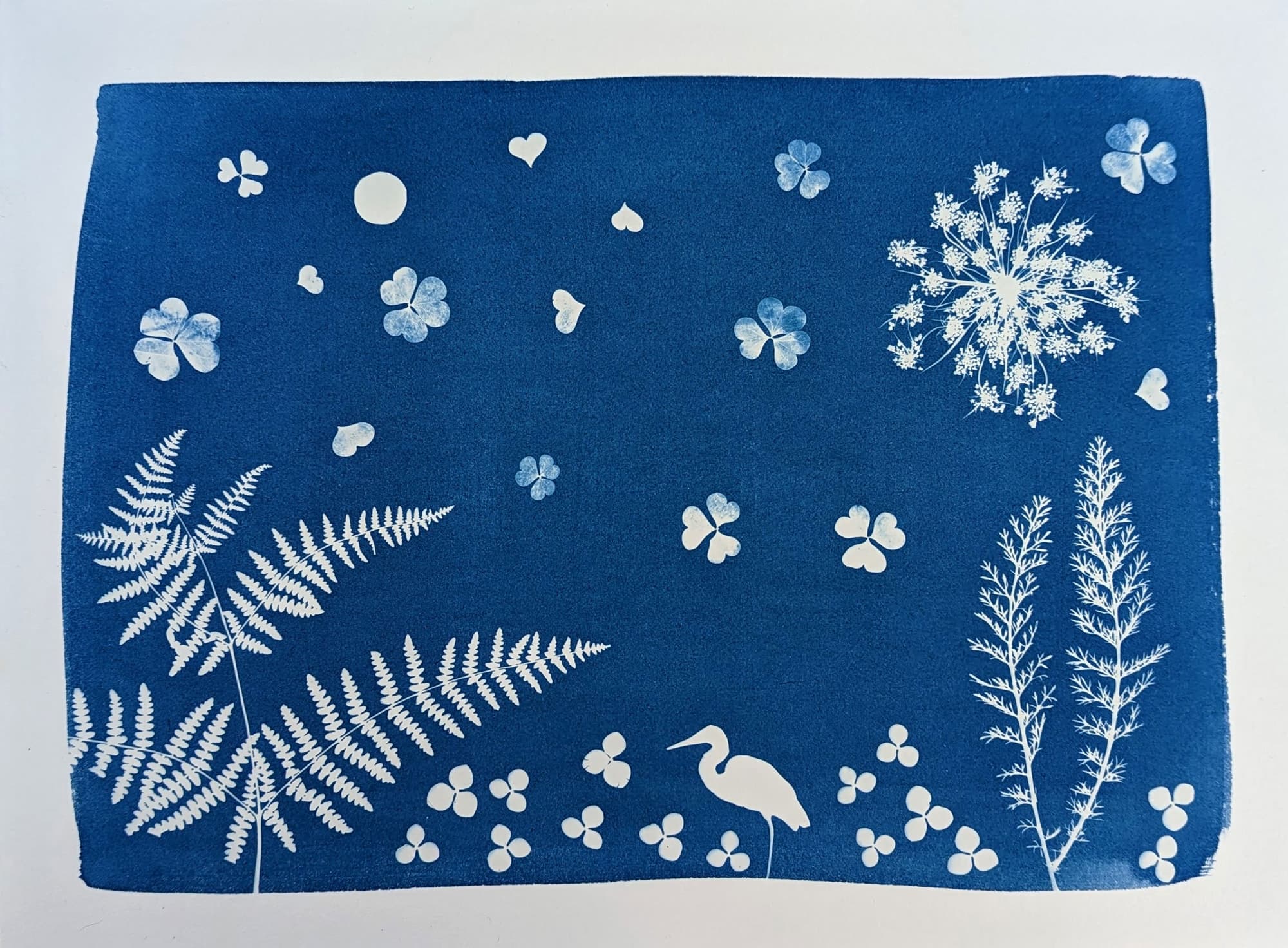 Initiation au cyanotype