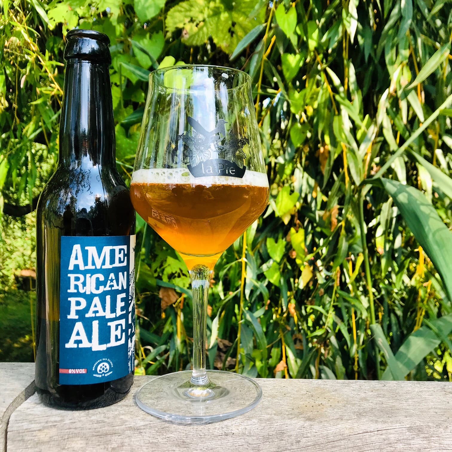 American Pale Ale