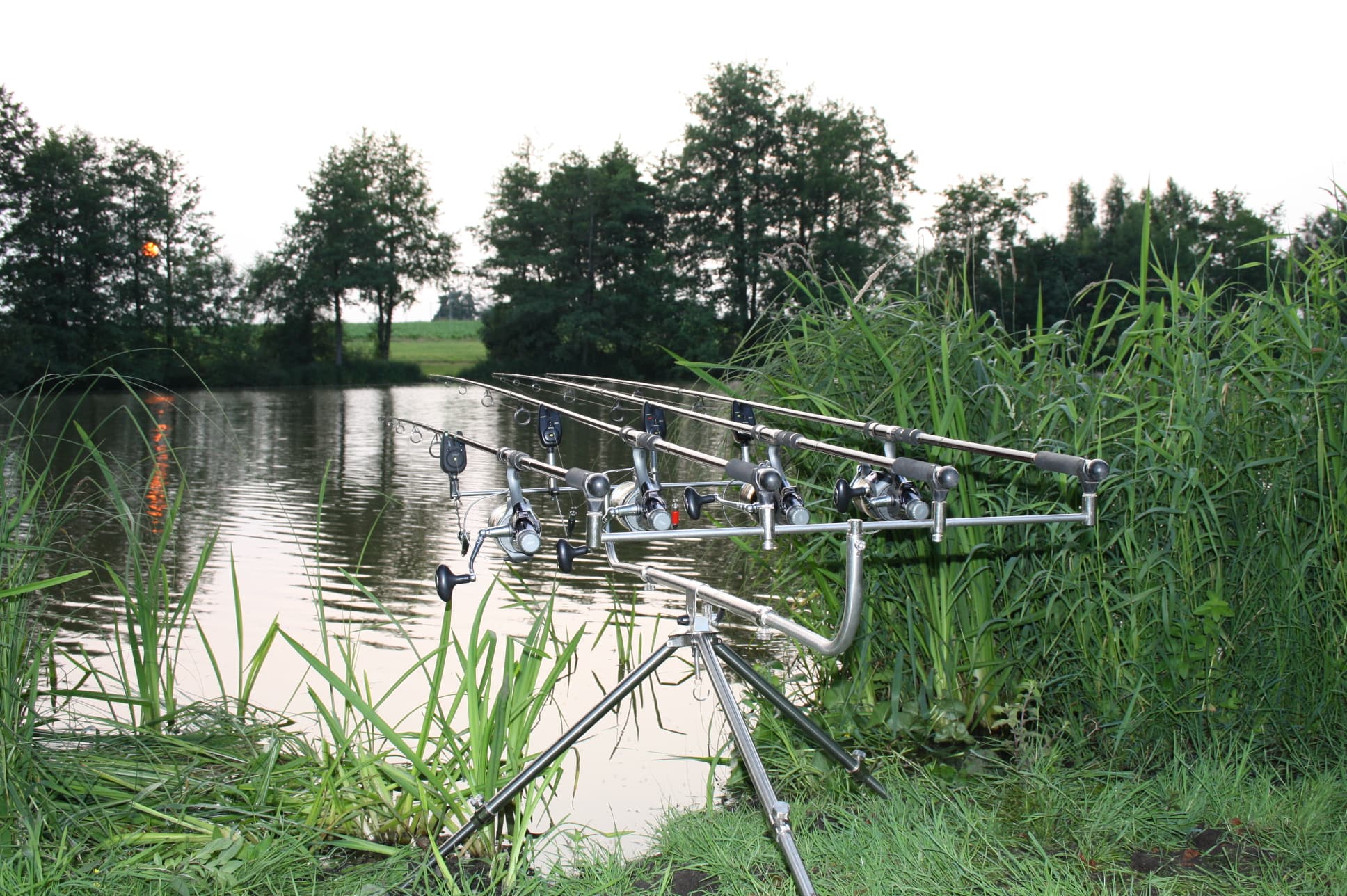 Pêche sportive de l'Etang de Rouge