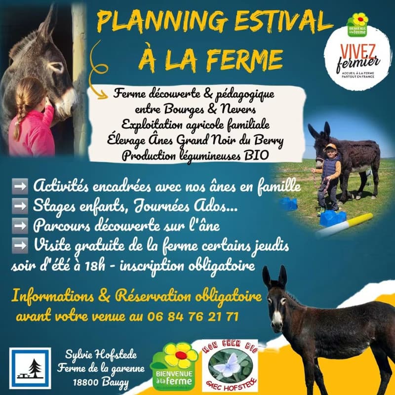 Activités estivales à la ferme