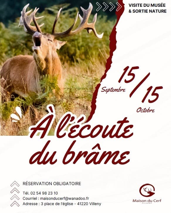 Affiche-ecoute-brame-maison-du-cerf