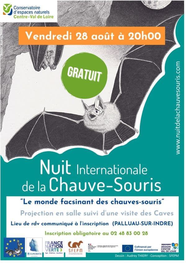 Affiche_nuitchauvesouris2026_palluau