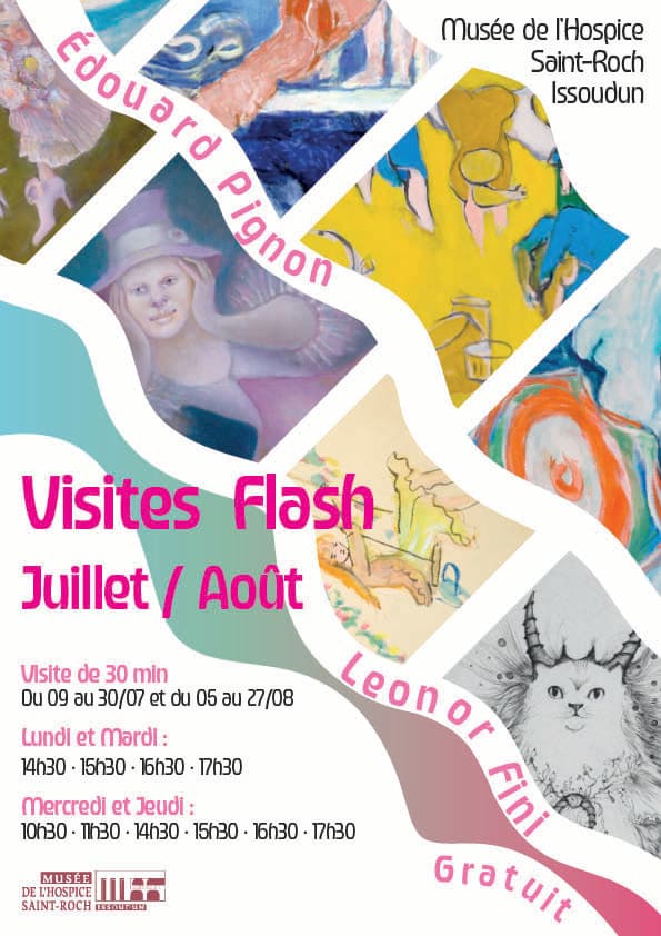 Affiche visite flash